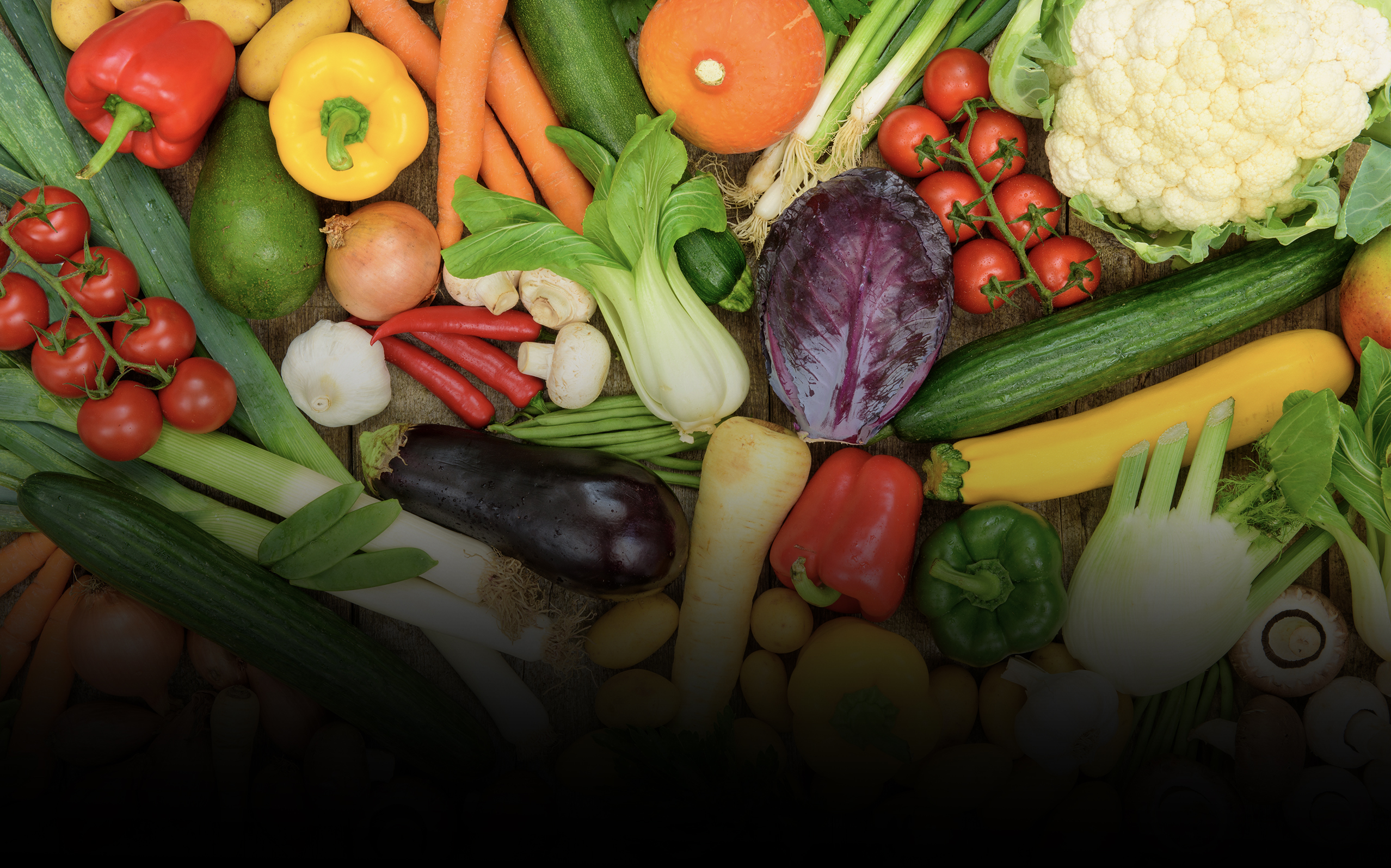 Qualifood - Distribuzione alimentare fatta di scelte di qualità