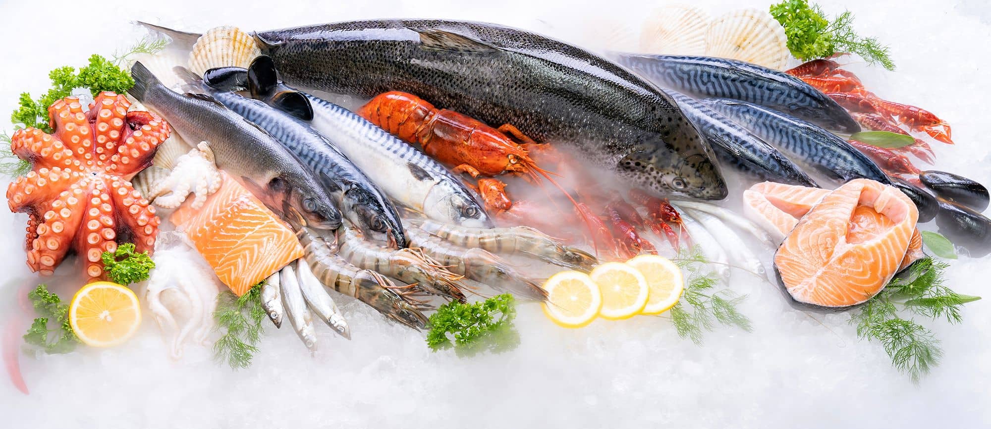 Qualifood - La nostra mission, essere un partner di fiducia